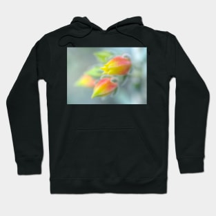 Here Comes The Echeveria Hoodie